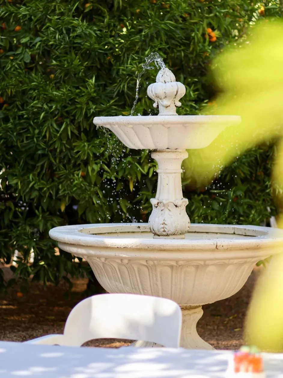 The two-tier stone fountain in the garden, sun on the water.