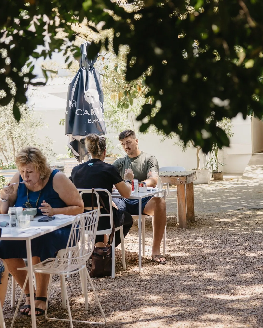 Guests at white tables in the dappled shade under the plane trees.