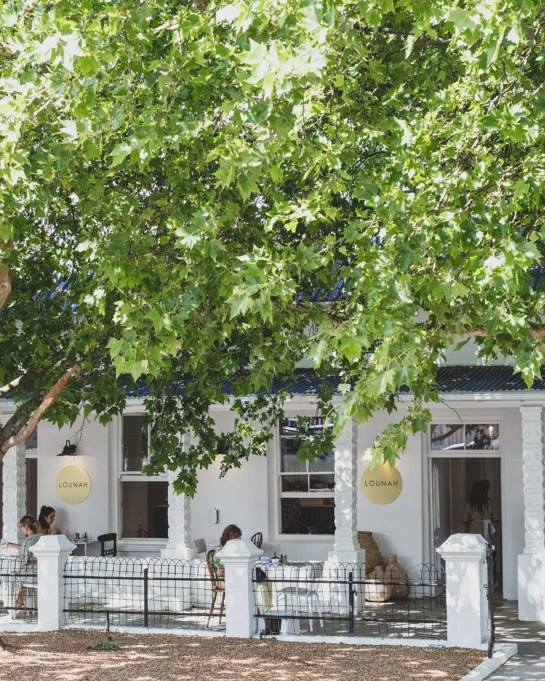 The front of the house from the pavement: white walls, a verandah, and the plane tree canopy.
